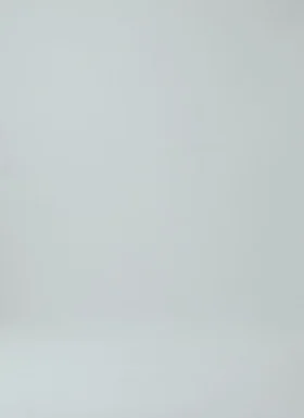 Elliot Garment Dyed Cotton Canvas Pants