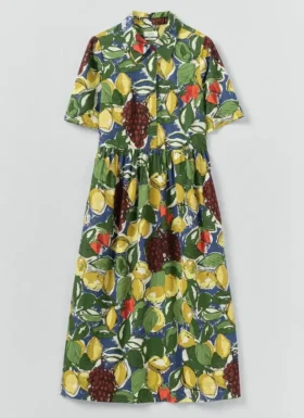 Selma Sketched Fruit Print Shirt Dress